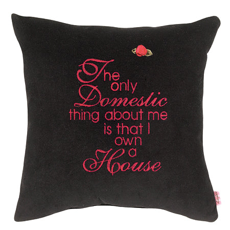 The only domestic thing about me is that I own a house